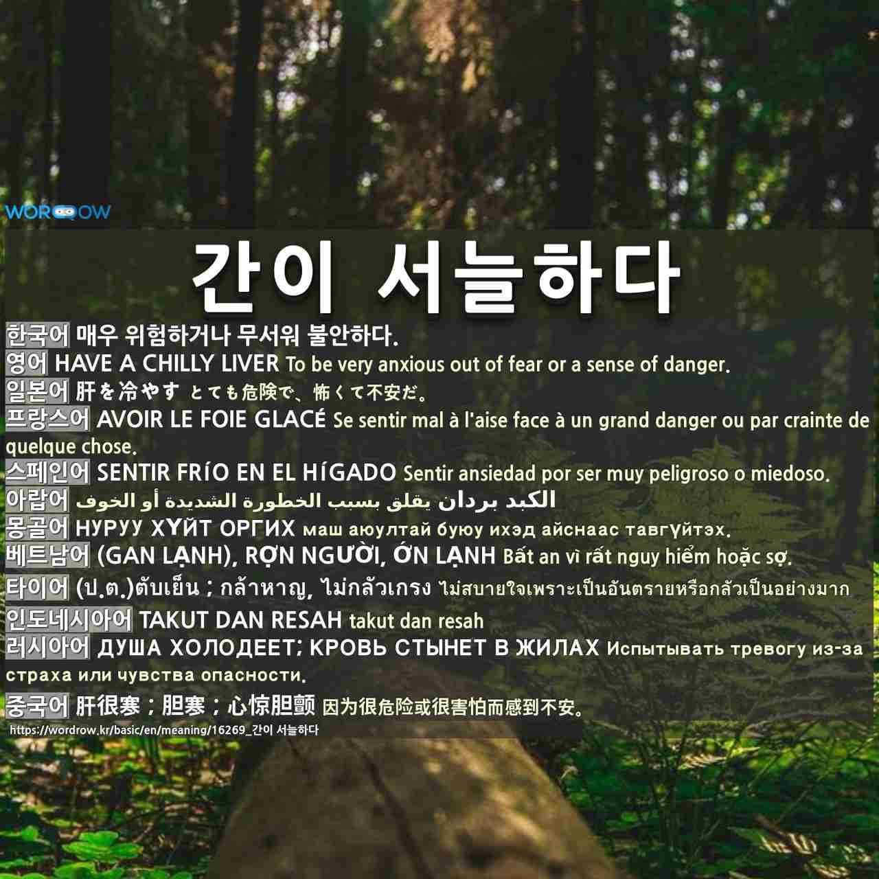 간이 서늘하다: have a chilly liver,肝を冷やす,avoir le foie glacé,sentir frío en el hígado,الكبد بردان,нуруу хүйт оргих,(gan lạnh), rợn người, ớn lạnh,(ป.ต.)ตับเย็น ; กล้าหาญ, ไม่กลัวเกรง,takut dan resah,душа холодеет; кровь стынет в жилах,肝很寒;胆寒;心惊胆颤,